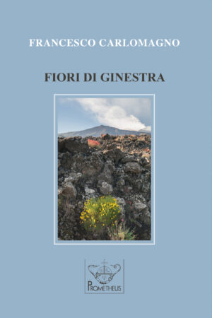 FIORI DI GINESTRA